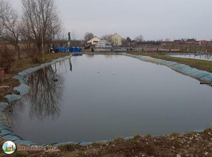 Teren intravilan+casa+hala+balta de pescuit, Zona Vetis