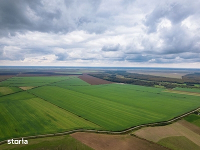 Teren arabil de 1299 hectare în Iași