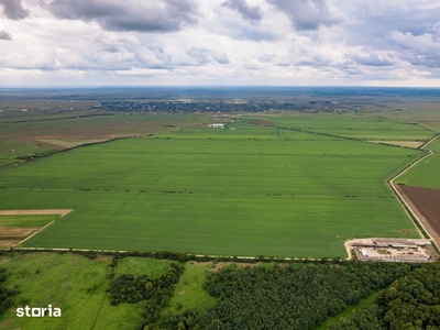 Teren arabil de 2912 hectare în Vaslui