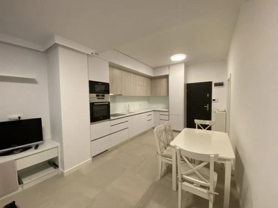 Apartament 2 camere de inchiriat, zona Gheorgheni