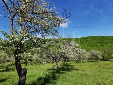 Teren extravilan de Vânzare – Potrivit pentru Casă de Vacanță sau Investiție