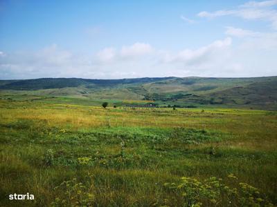 De vânzare în Someseni, Strada Mos Ion Roata