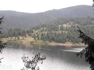 Teren de vânzare 29.131m² lac Beliș, la Pârâul Butoaie,Giurcuța