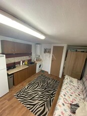 Apartament cu o camera de vanzare, Marasti