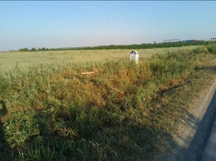 Două terenuri de 2300m intravilane de vanzare