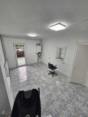 Închiriez apartament 2 camere (2 spații comerciale)