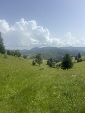 Vand teren in apropiere de Vatra Dornei