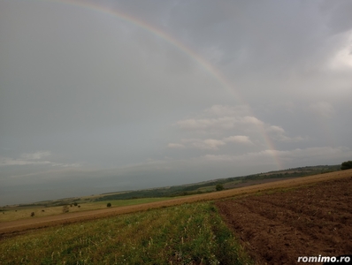 Luăm teren în arendă sau chirie