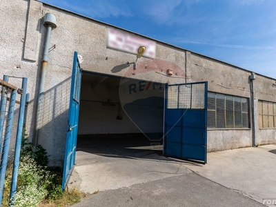 Spațiu comercial - Hală în Zona Grigorescu-250mp, Deva, jud. Hunedoara
