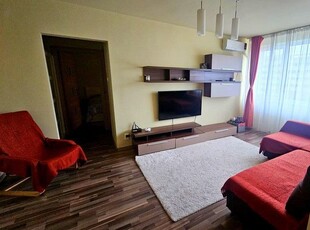 Apartament de 2 camere, 50 mp, balcon, pet friendly, zona Baba Novac