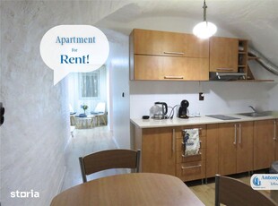 Apartament la casa de inchiriat, 1 Camera, Decomandat, Central, Oradea