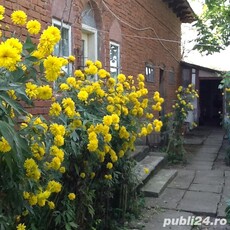 Casa de vanzare,Cioroiu Nou(com.Cioroiasi)