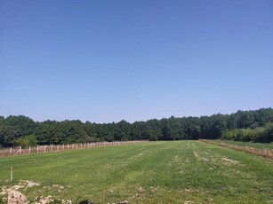 Teren 62 ari, Lăpușel, lângă Baia Mare!