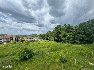 Teren intravilan, Bucium langa padure