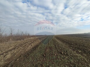 Teren Agricol, Extravilan vanzare, in Sibiu, Gura Raului