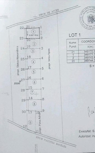 Banaeasa Teisani teren intravilan 900 mp - 250200