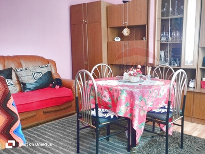 Apartament 2 camere vanzare in casă vilă Sibiu, Medias, Vitrometan