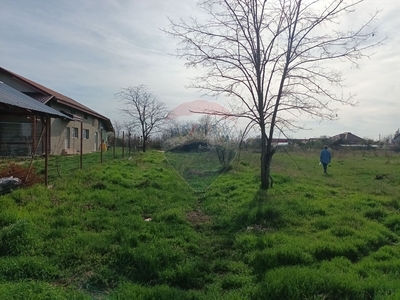 Teren Construcții, Intravilan vanzare, in Bucuresti Ilfov, Peris