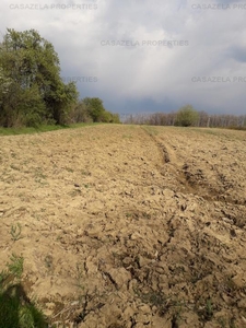 Teren in suprafata de 4200 mp situat in intravila si extravilan