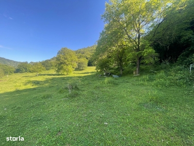 Casa si teren 10.000 mp la Grosi(Hunedoara)