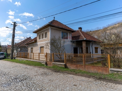 Casavila 4 camere vanzare in Hunedoara, Brad, Est