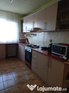 Apartament cu 3 camere în Nufarul