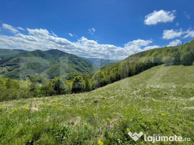 Teren de Vânzare în Satul Plopi, Comuna Valea Ierii