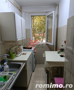 Vanzare apartament 2 camere Teiul Doamnei