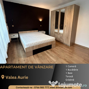 Apartament de vânzare, o cameră, Valea Aurie