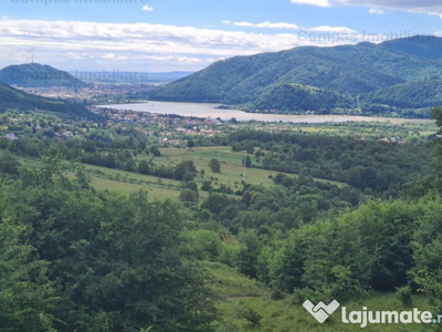 Spectacol - teren zona Bisericani - Alexandru cel Bun