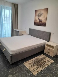 Apartament de inchiriat cu 2 camere- Zona Centrala- Podu Ros