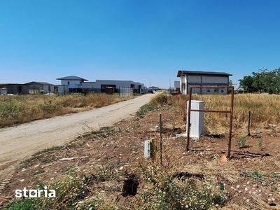 Teren de vanzare - Gaz si Curent comuna Berceni