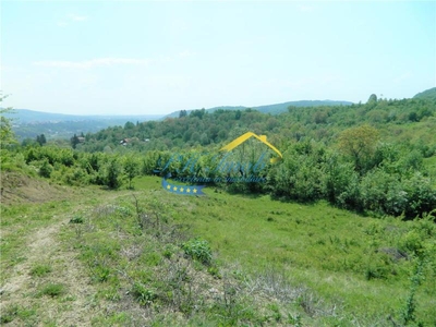 Teren Intravilan de vanzare, Poiana Campina