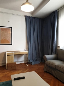 Appartement 2 pieces, rue: Vasile Conta 3-5