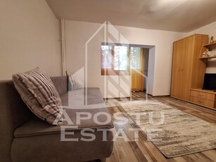 Apartament cu o camera, 41 mp utili, Micalaca