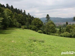 Teren zona Salatruc Vama, ideal casă de vacanta, cabană...