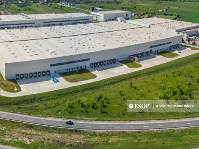 WDP Industrial Park Dragomiresti