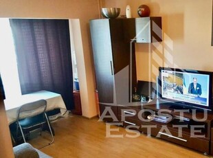 Apartament cu o camera in zona Lipovei, pet friendly