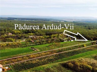 Casa de vacanta cu livada si vita-de-vie | Padurea Ardud-Vii