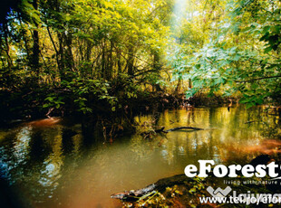 EForest, teren intravilan, Crevedia, 680 mp, d=17 ml