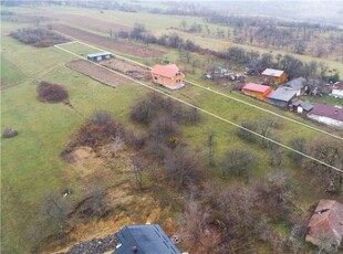 FILM! Casa si domeniu de 5.000mp, in Berchez:o bijuterie ascunsa a Maramuresului