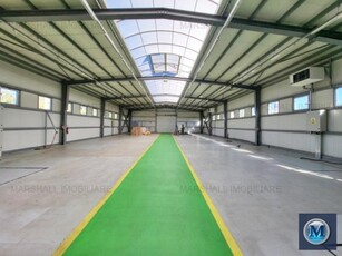 Spatiu industrial de vanzare in Campina, 700 mp