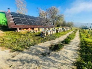 Teren de vanzare in Sibiu - Talmaciu - intravilan - cu panouri fotovoltaice de vanzare