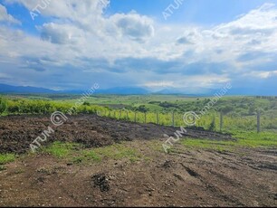 Teren intravilan cu deschidere de 21 m in Daia Noua din Sibiu