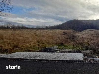 Vand teren pt cabane Valea Draganului