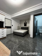 Apartament cu o camera Lazar Residence