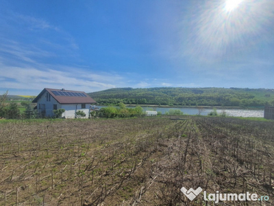 Moara de Vant-Sorogari, teren langa lac, priveliste panoramica