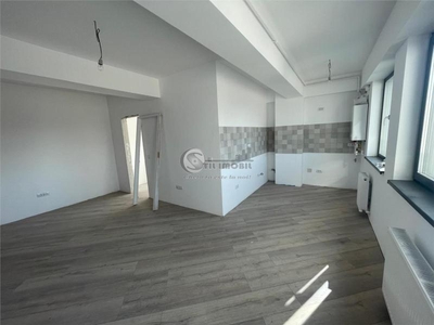 Apartament 2 Camere Ultracentral Palas Mall