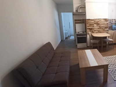 Apartament o camera cu bucatarie open space zona Macul Rosu.