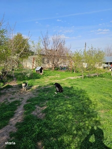 Casa de vanzare sat Spatarei, Judetul Teleorman